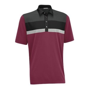 Ashworth_polo