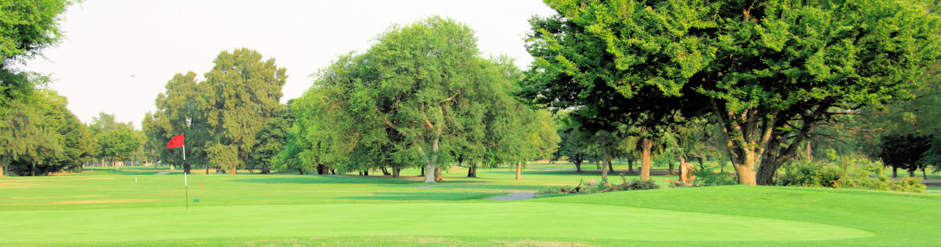 Come play golf at Bing Maloney in Sacramento, CA