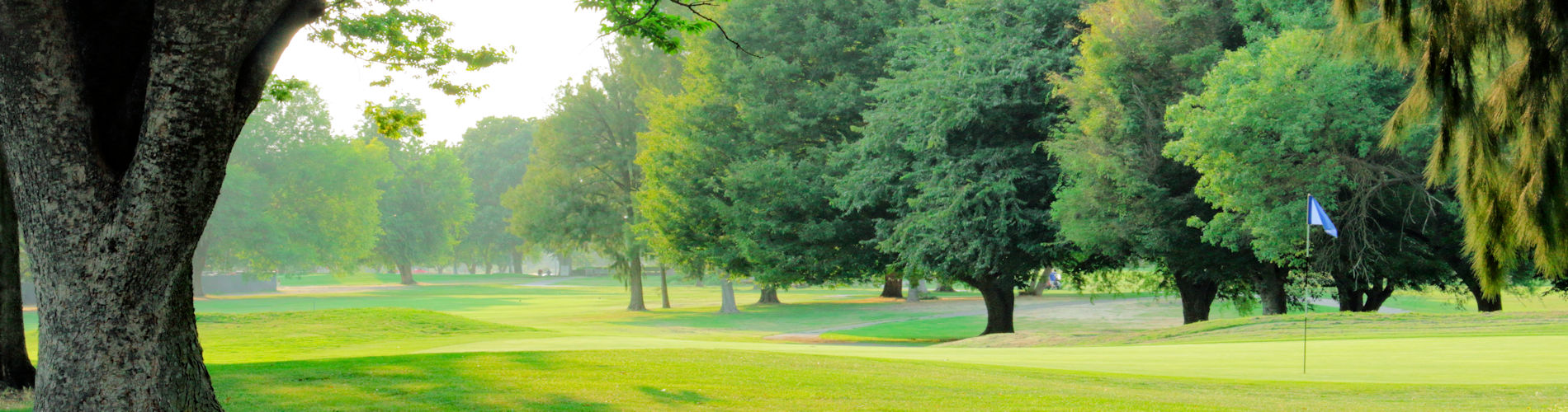 Come play golf at Bing Maloney in Sacramento, CA